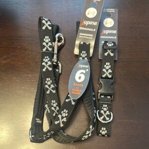 Originals Black Dog Leash and Collar Set
